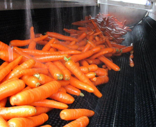 Poliermaschine für Karotten