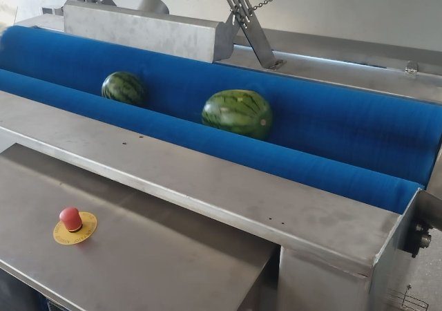 Waschmaschine für Melonen