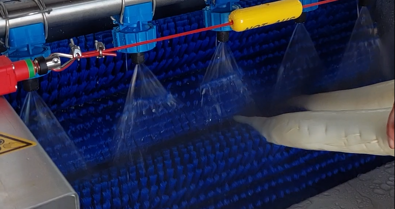 Kleine Rettichwaschmaschine