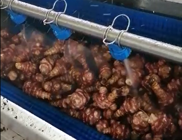 Kleine Bürstenwaschmaschine