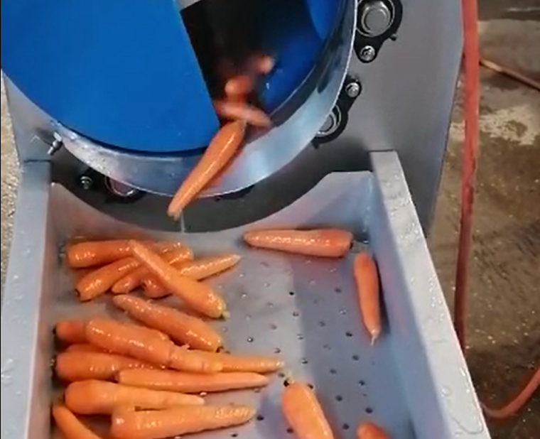 Kleine Waschmaschine mit Karotten