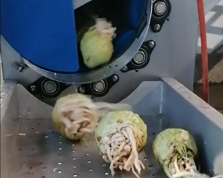 Kleine Gemüsewaschmaschine